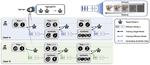 Using Diffusion Models as Generative Replay in Continual Federated Learning -- What will Happen?