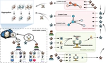 Communication-Efficient Multimodal Federated Learning: Joint Modality and Client Selection