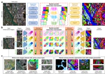 REST: Holistic Learning for End-to-End Semantic Segmentation of Whole-Scene Remote Sensing Imagery